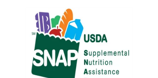 SNAP Applications